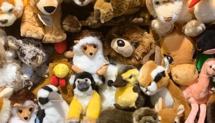 Viele bunte Stofftiere aus dem Zoo-Shop schauen in die Kamera